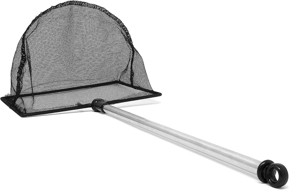 Fish Net with Extendable Handle, 2.5 in