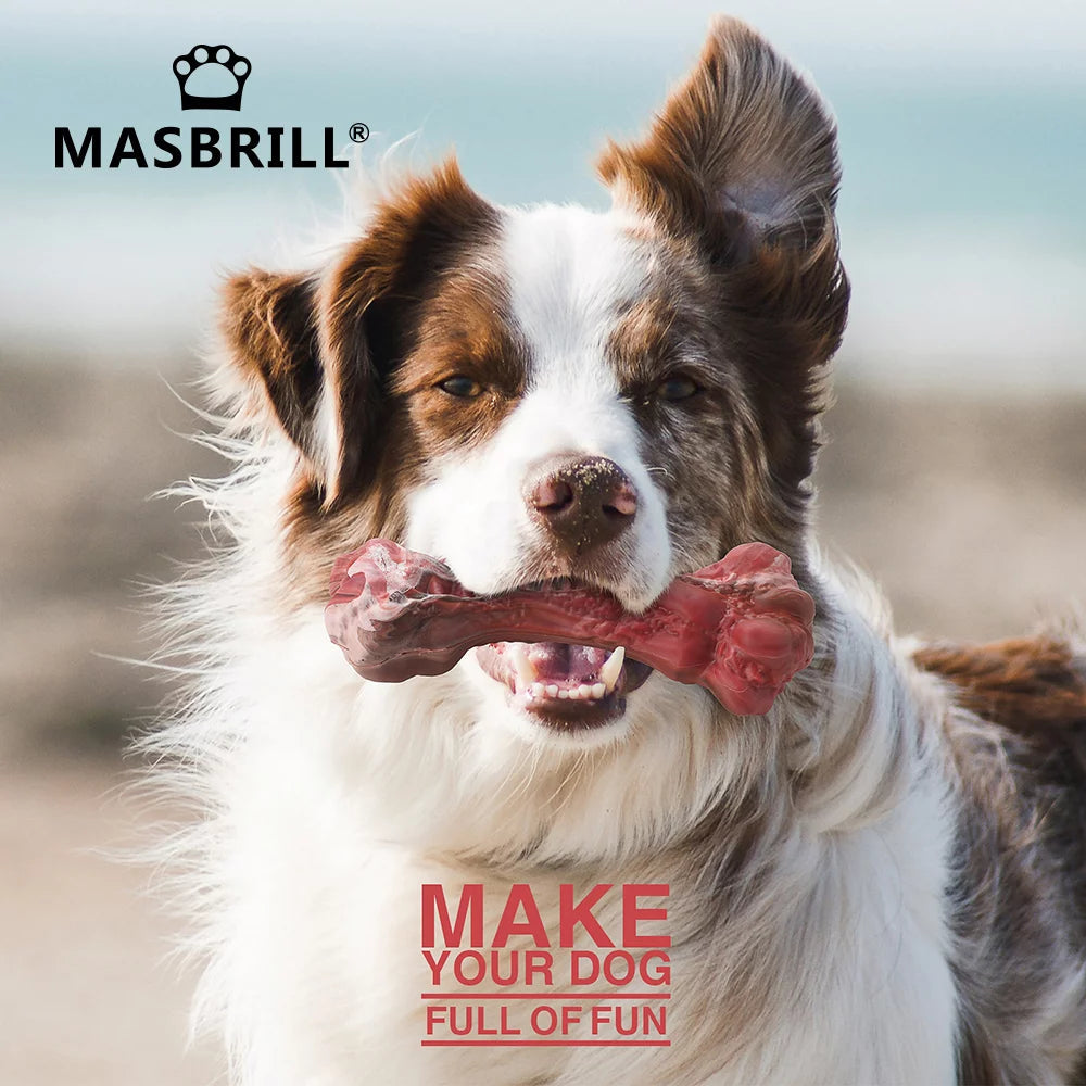 Indestructible Chew Toys for Large Breeds