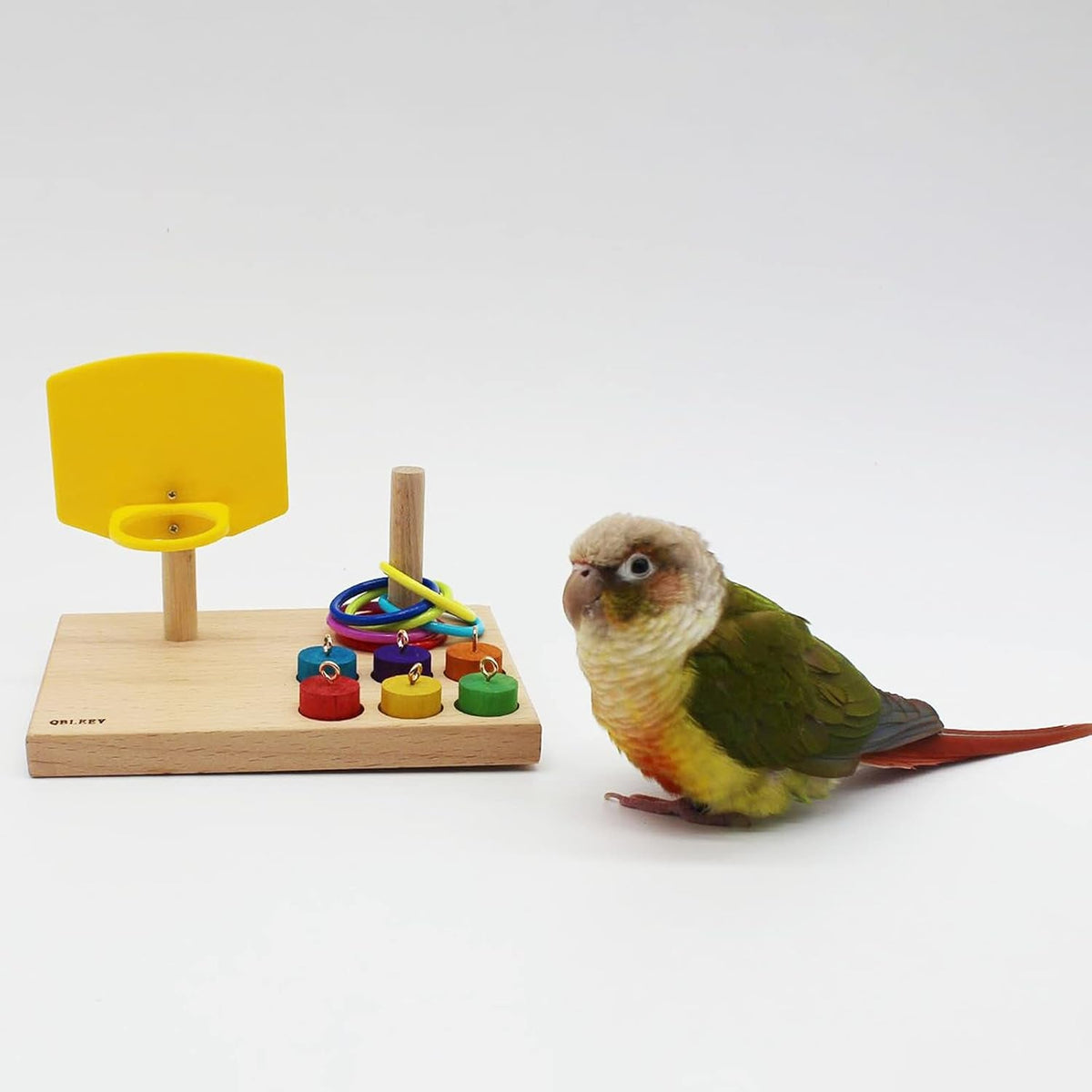 Beech Wood Foraging Puzzle Toy for Budgies and Parrots