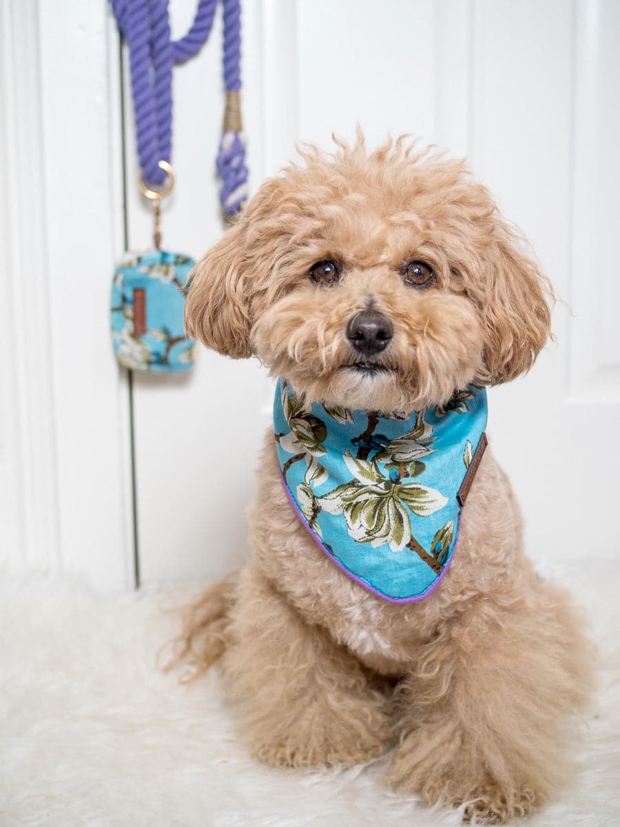 Lexie dog bandana — additional photo 2