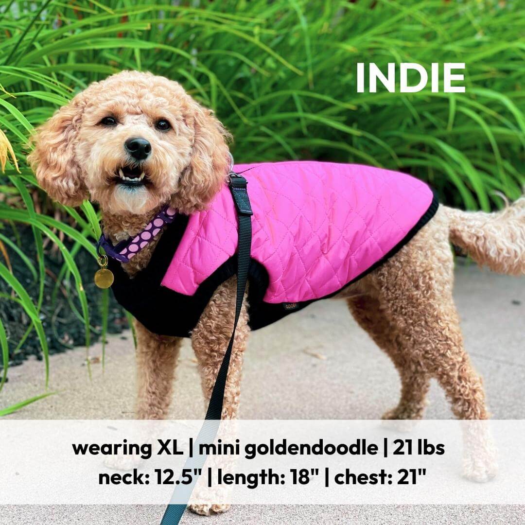 Violet quilted step-in bomber vest for dogs - view 8