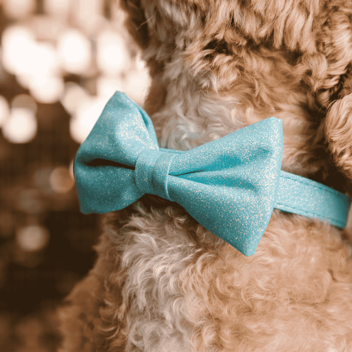 Dawson dog bow tie — additional photo 4