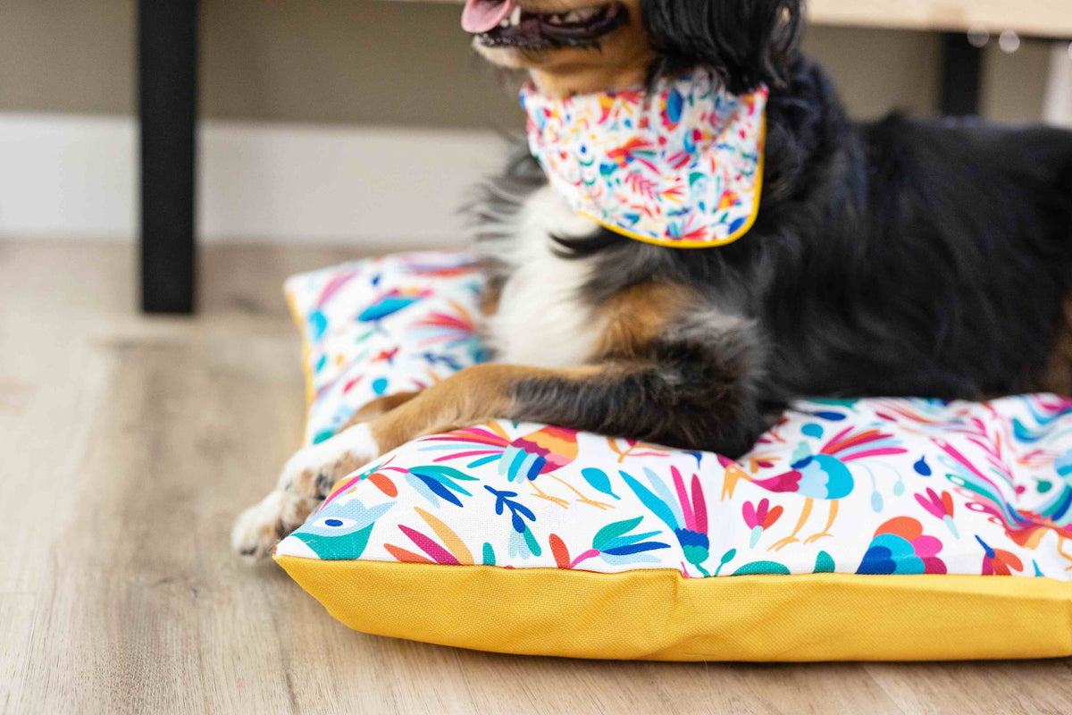 Yesenia dog bandana — additional photo 5