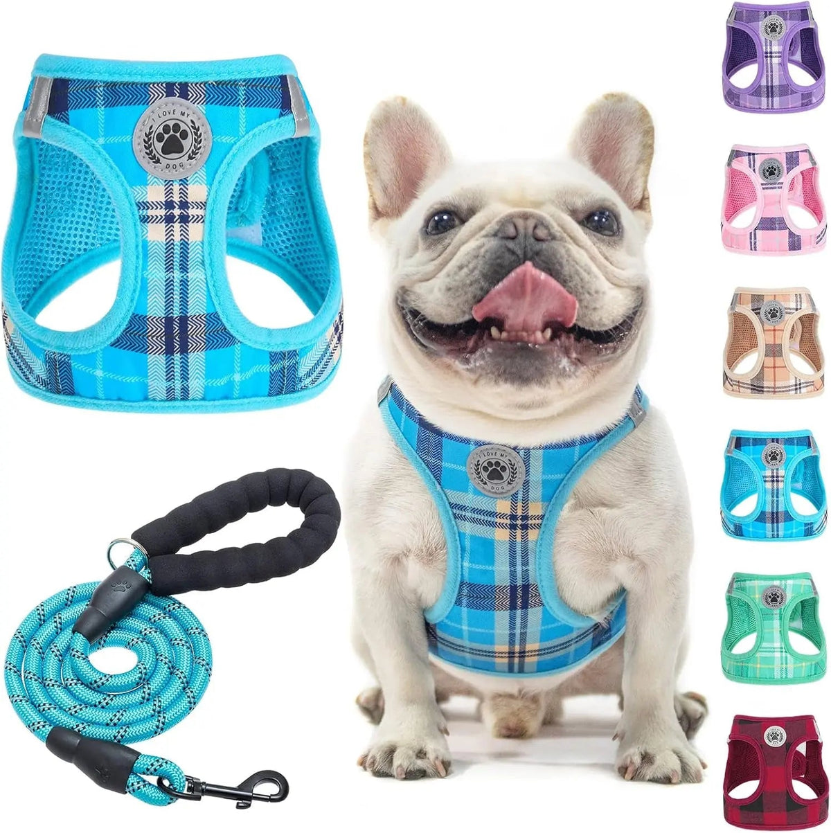 Reflective Step-In Dog Harness and Leash Set, XS-XL