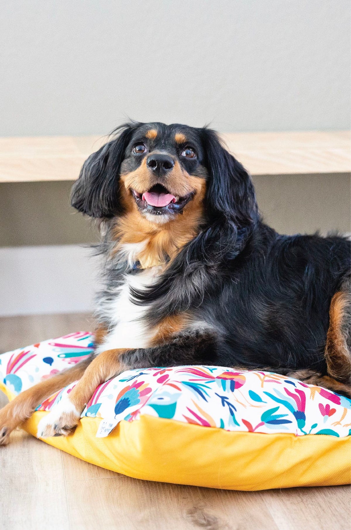 Yesenia dog bed — additional photo 6