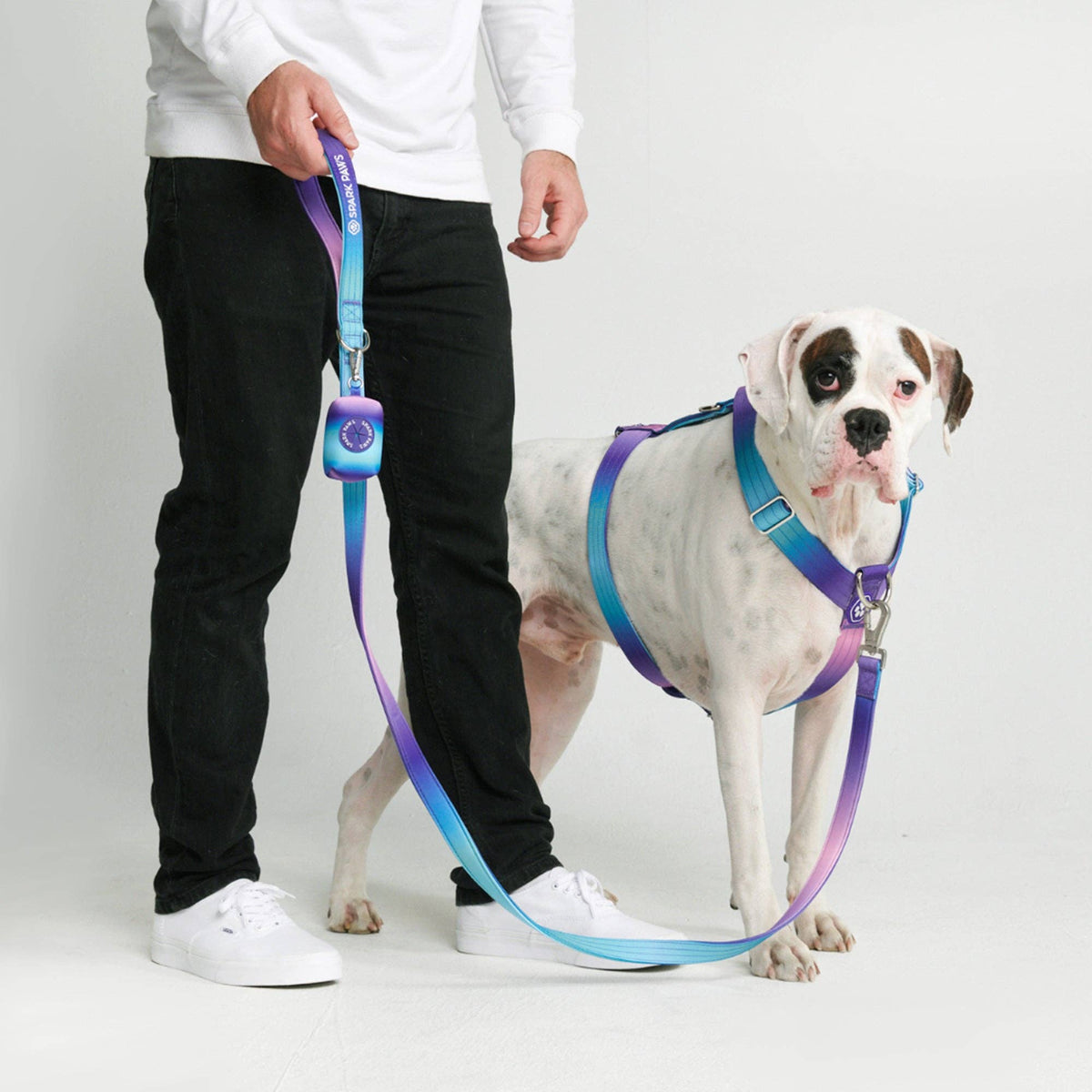 Comfort Control 90s retro print nylon dog leash - view 5