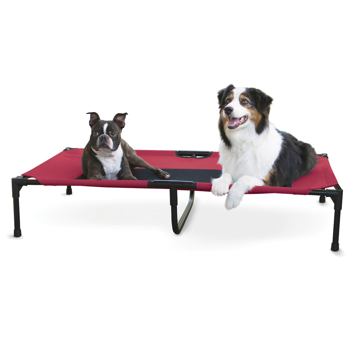Elevated dog bed cooling mesh frame detail