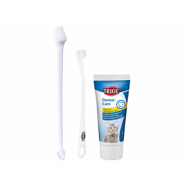 Dentifrice