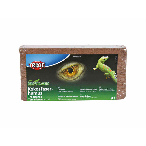 Lits, sable et substrat pour terrariums