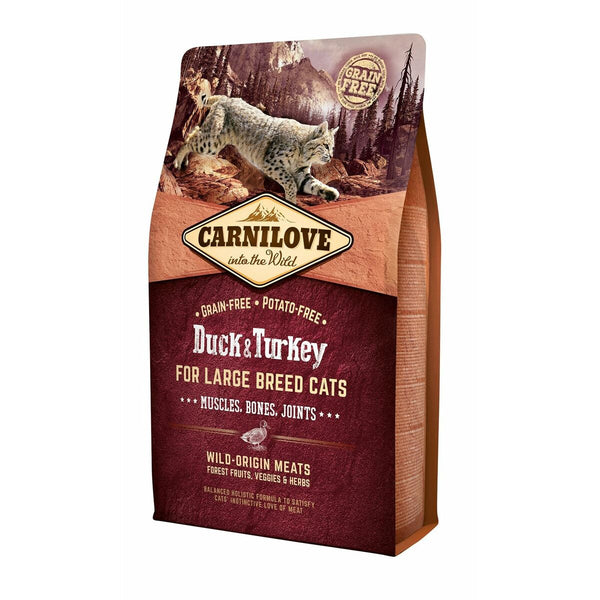Sèche