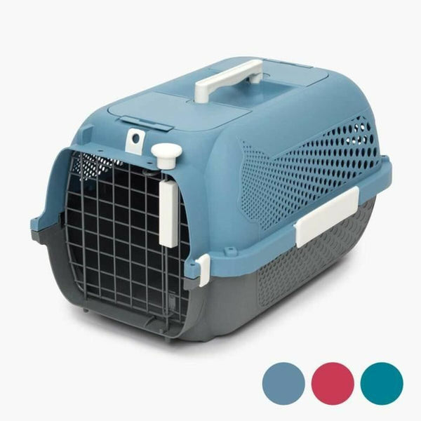 Chien Transporteurs et articles de voyage