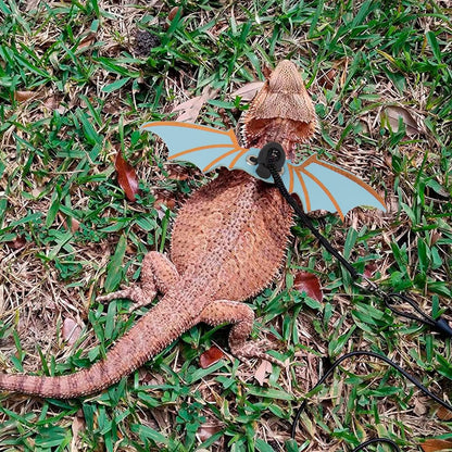 Bearded Dragon Harness with Wings