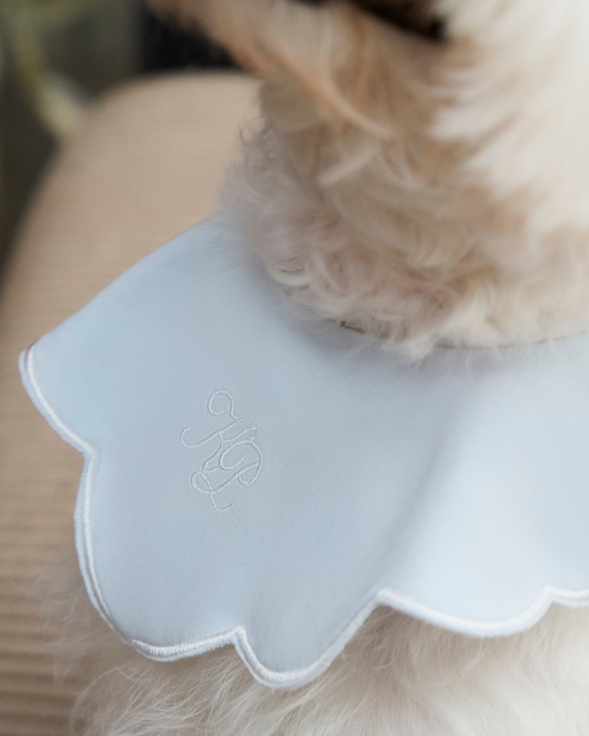Camille Collar