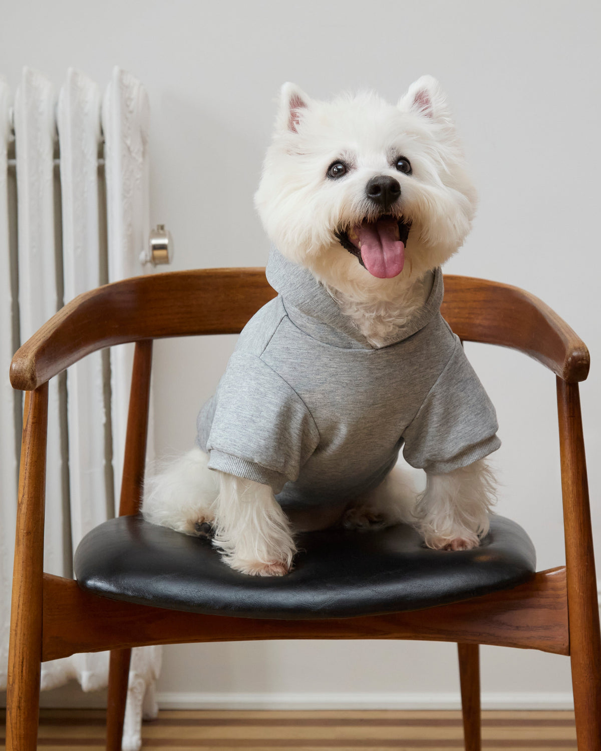 Cookie Hoodie