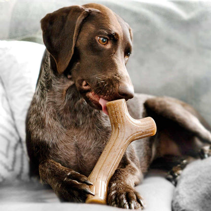 Maplewood Chew Toy for Aggressive Chewers