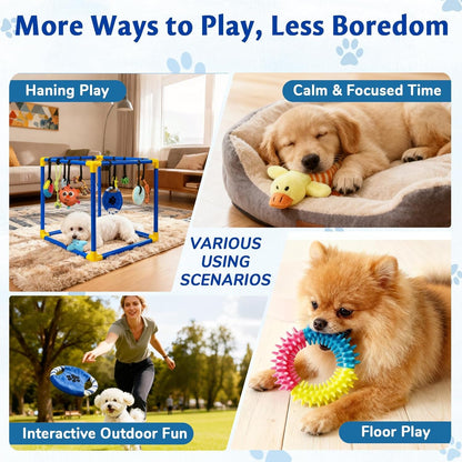 Interactive Puppy Play Gym with 16 Toys