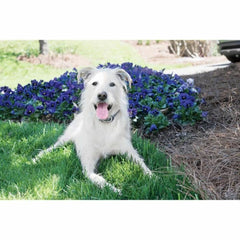 V3HED64785AF067A08268284CB13A6FA40DR5763546P6