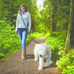 V6H246FE1A9286FBBD676A0C66EE257639AR6623781P6