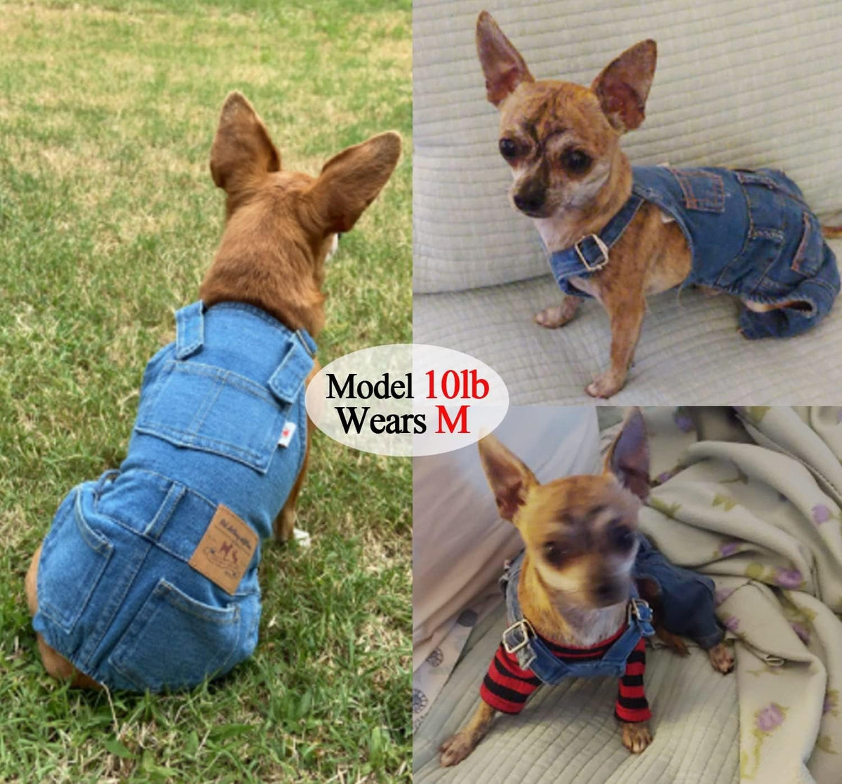 Adjustable Denim Overalls for Dogs & Cats