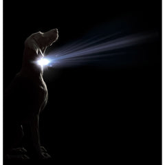 V3H15858116C8962ECC8AC463ED04244BEAR5554890P2