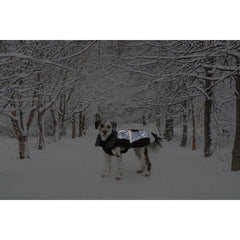 V4H0D2A2F62D9A49D5AD82974EF743F6DB3R5332494P2