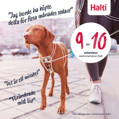 V2H3ED143BC620504A7B0FAE3FA06CF2603R7523819P6