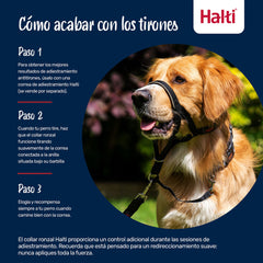 V4HCEB185F71F1D1172EA596F311AF0AA64R7523893P3