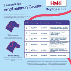 V3HBE1949A9FCA171BA3BA6992B3D1AE177R7523546P3