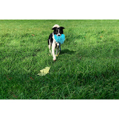 V8HD41431824E7252A1D57C835586C9F9ACR3709287P9