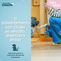 V5H68D1F4BA325CE9DD0FDBAECEC1935D1ER5717576P4