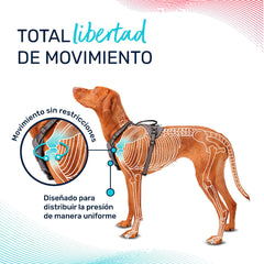 V6HFF59CBC7CEED737499DAE83210C25B93R5328501P6