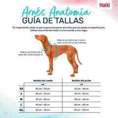 V5HD53EB70D5EA17904D8D90C4F0B1F539DR5328511P4