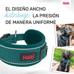 V2HA6224E21440271371E3017FD89F1FA87R7722844P8