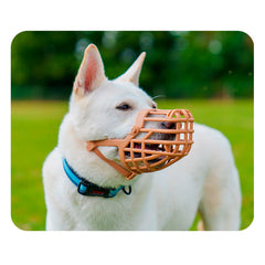 V4H8DE94E6B721D857E976659CEC79A1996R5327605P3