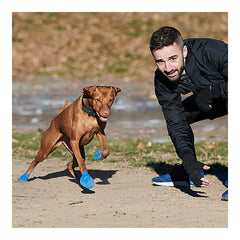 V11HD2FDE571E1F6ED22CB51304BDED1E8AFR4986965P4