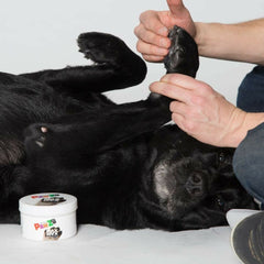 V4H420793D80DDEB706C5756DAD9A7D569CR5595059P5