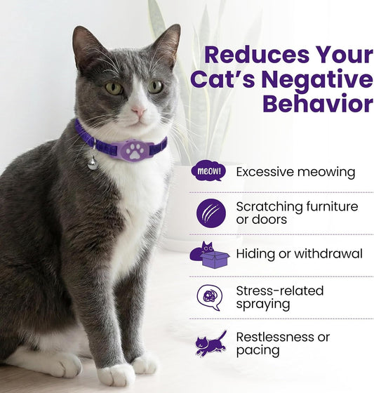 Breakaway Pheromone Collar for Cats