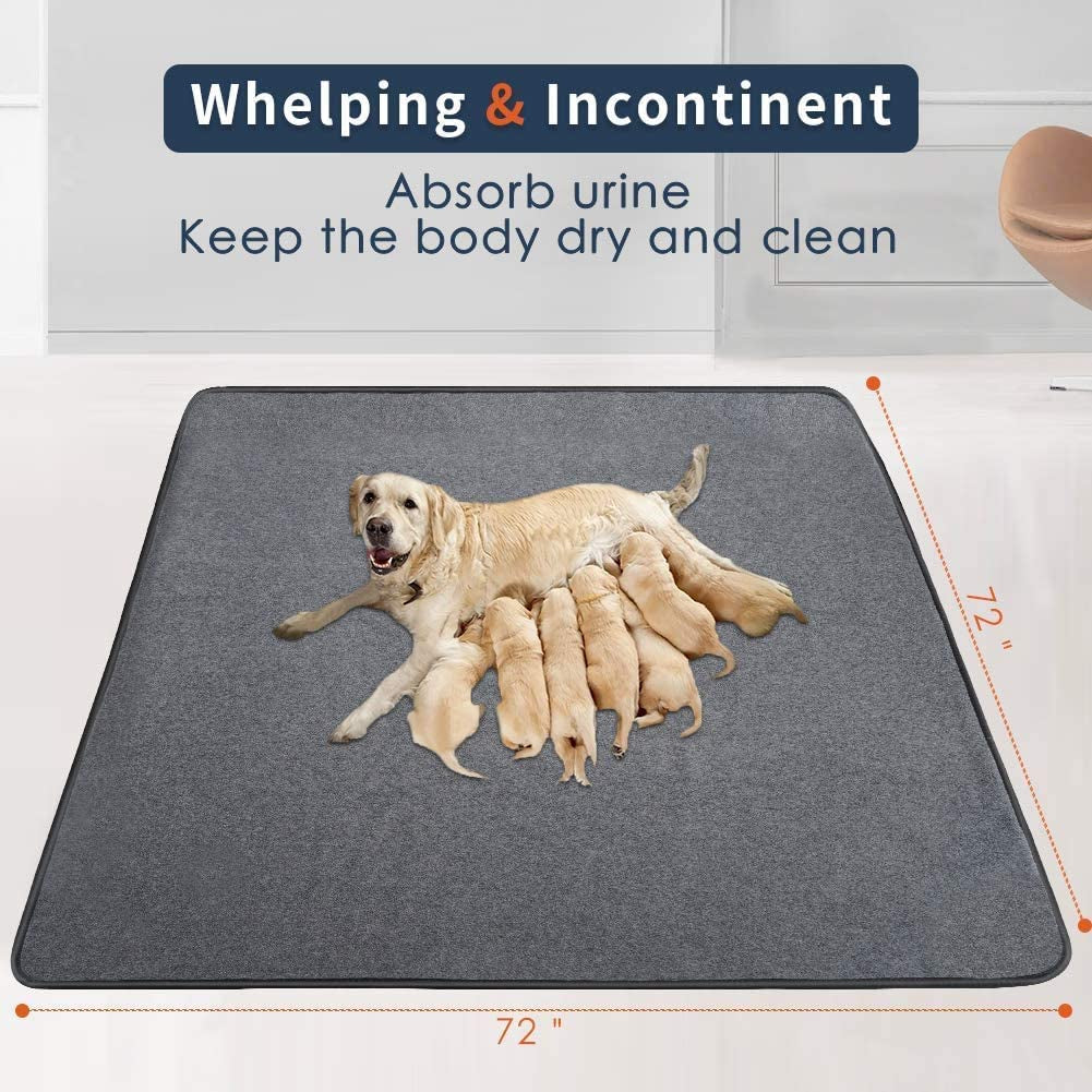 Washable Pee Pad for Dogs, 72 x 72 in