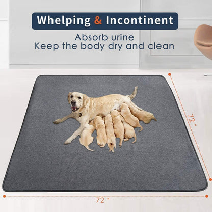 Washable Pee Pad for Dogs, 72 x 72 in
