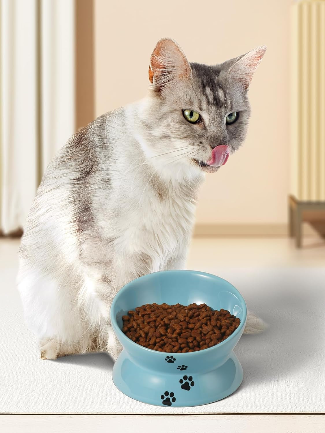 Tilted Elevated Ceramic Cat Bowl, Lake Blue