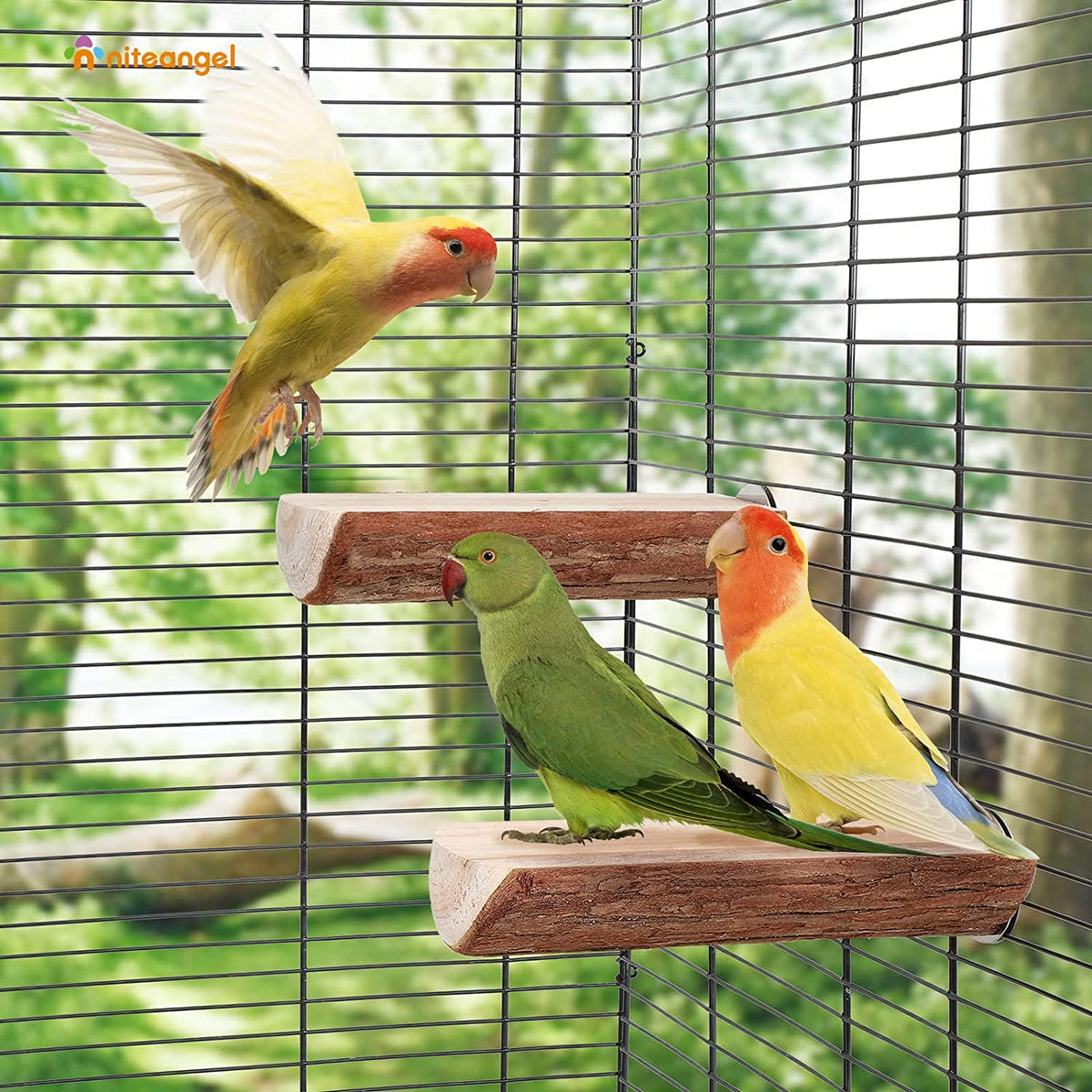 Wooden Parrot Cage Perch Platform, 2 Pack