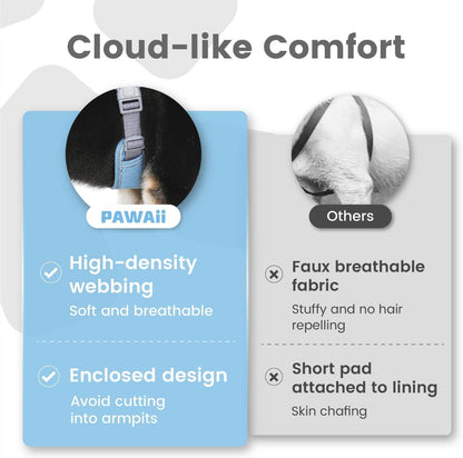 No-Pull Dog Harness with ID Tag for Small Dogs