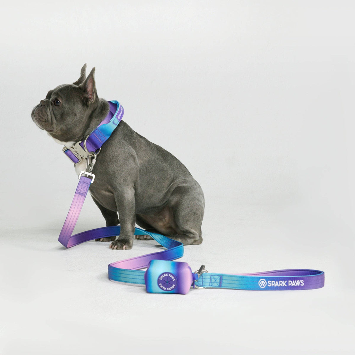Comfort Control 90s retro print nylon dog leash - view 3