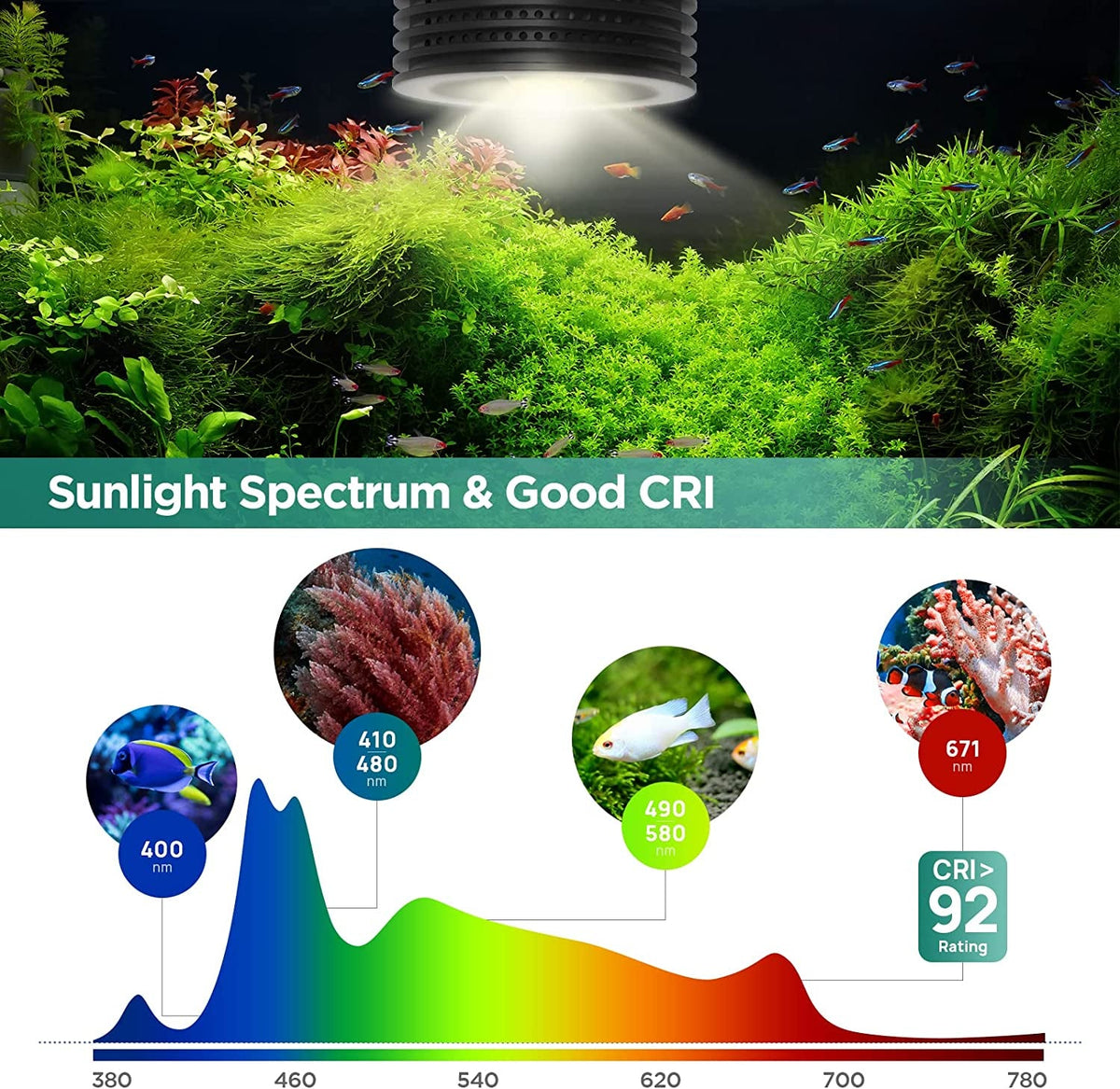 LED Planted Tank Light with Remote, 4 Channels