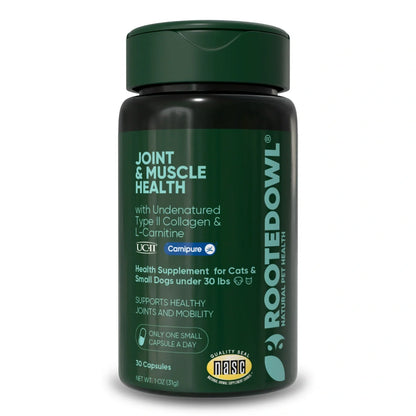 UC-II & L-Carnitine Capsules for Cats and Small Dogs