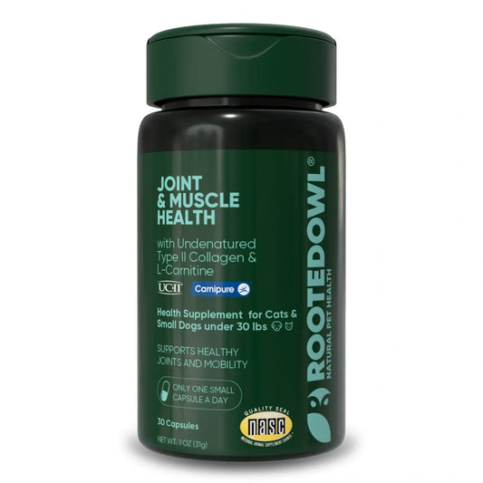 UC-II & L-Carnitine Capsules for Cats and Small Dogs