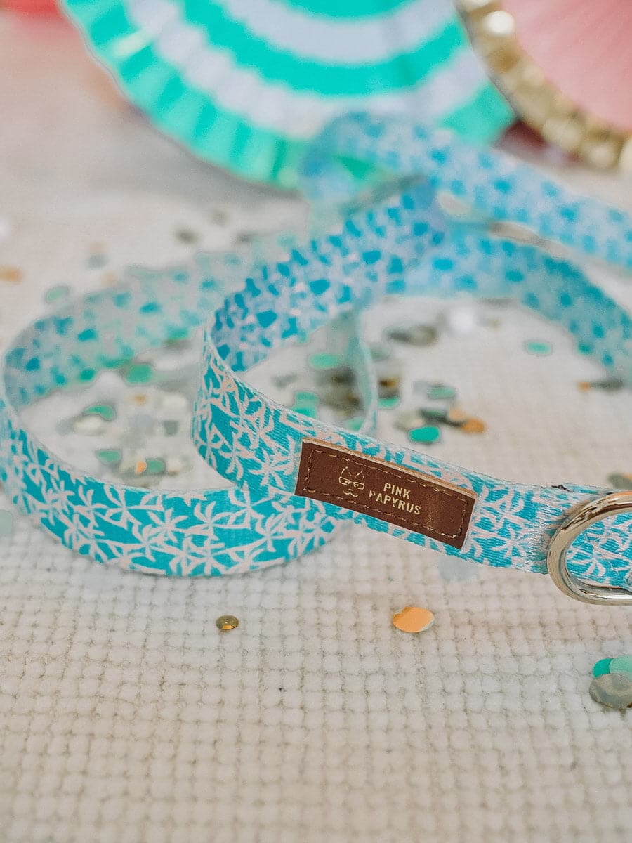 Mona dog leash — additional photo 4