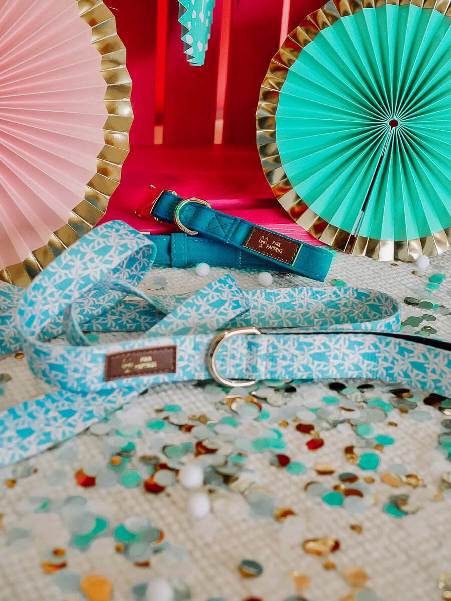 Mona dog leash — additional photo 5