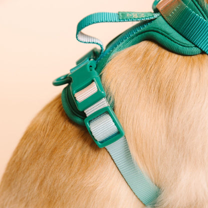 Parker dog harness — additional photo 6