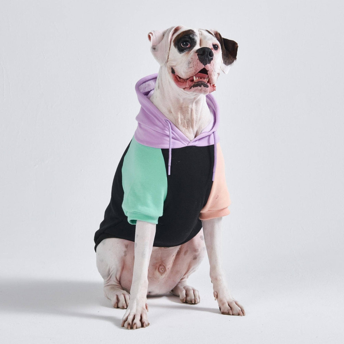 Cyber Punk graphic dog hoodie with fleece interior - view 6